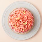 【SALON BAKE ＆ TEA】カーネーションタルト 5号 《Cake.jp限定》 母の日2024 4