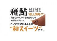 あゆ 12個入り 4