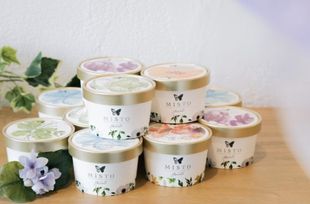 GELATO GIFT  12個セット 