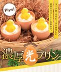 濃厚光プリン 3個入 1