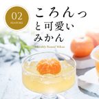【梅義】和歌山県産まるみかんゼリー （４個入） 4