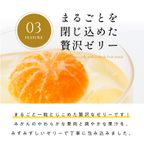 【梅義】和歌山県産まるみかんゼリー （４個入） 5