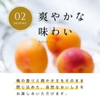 【梅義】和歌山県産うめゼリー （４個入） 5
