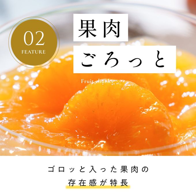 商品説明2 5