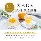 【梅義】和歌山県産はっさくゼリー （４個入） 5
