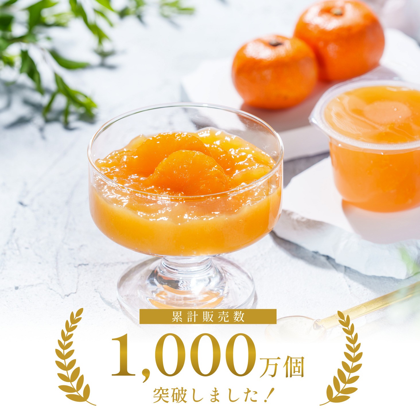 みかんゼリー 完売♡ たっぷりゼリー みかん 250g ｜ ミスターマックス