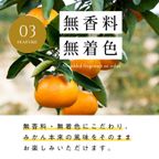 商品説明3 6