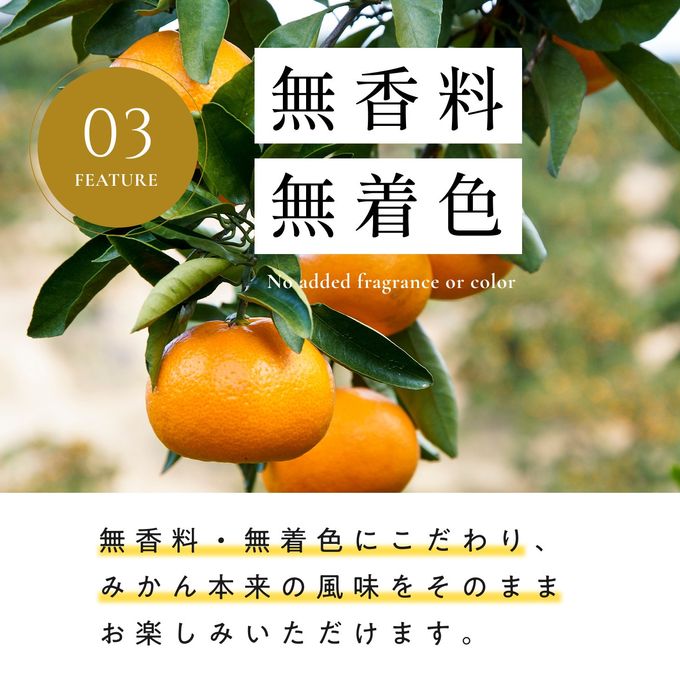 商品説明3 6