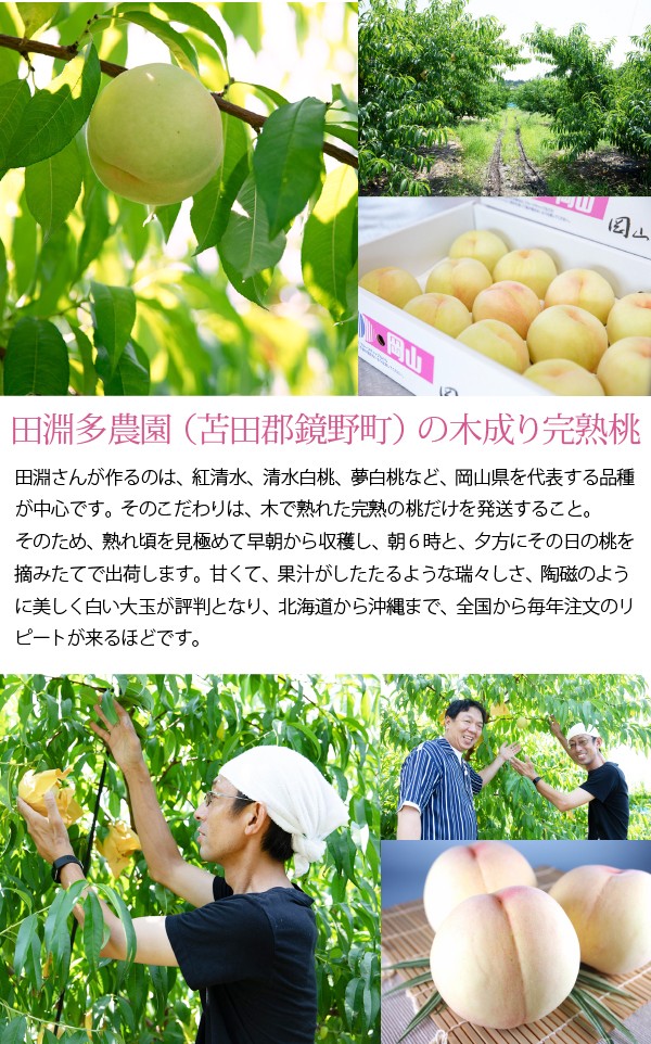 岡山県産果実100％とろけるような濃質食感　清水白桃・ピオーネジュレ3個入（パティスリーWAKANA）