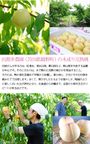 岡山県産果実100％とろけるような濃質食感 清水白桃・ピオーネジュレ3個入 母の日2024 4