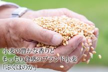 清水白桃ケーキ 5