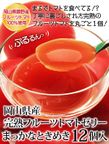 岡山県産完熟フルーツトマトのジュレ「まっかなときめき」12個入   2