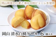 清水白桃ケーキ 1