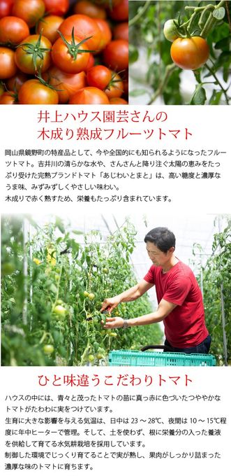 岡山県産果実100％とろけるような濃質食感 清水白桃・ピオーネ・フルーツトマトジュレ9個入  母の日2024 7