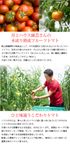 岡山県産果実100％とろけるような濃質食感 清水白桃・ピオーネ・フルーツトマトジュレ6個入 母の日2024 7