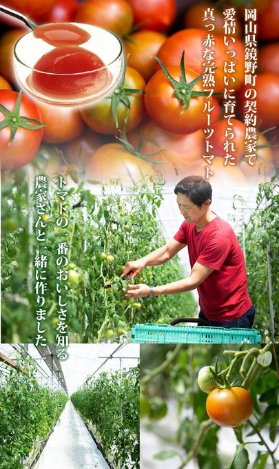 岡山県産完熟フルーツトマトのジュレ「まっかなときめき」12個入   3