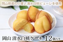 清水白桃ケーキ 1