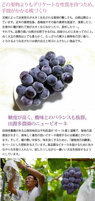 岡山県産果実100％とろけるような濃質食感 清水白桃・ピオーネジュレ12個入   5