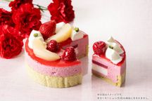 Mother's Day ペッシュ・ルージュ＆ベルローズ6個入セット  4
