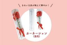 【遅れてごめんね、お母さん】Mother's Day 赤い果実のピスターシュタルト4号セット 8