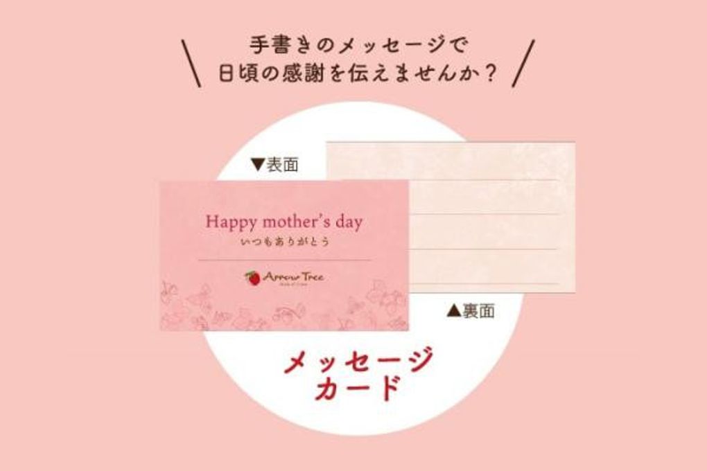 【遅れてごめんね、お母さん】Mother's Day 赤い果実のピスターシュタルト4号セット 7