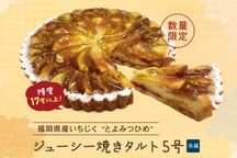 【9月の季節タルト！】福岡県産いちじく”とよみつひめ”ジューシー焼きタルト 5号 1