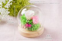 Mother's Day プリザーブドフラワーB＆ベルローズ12個入セット  4