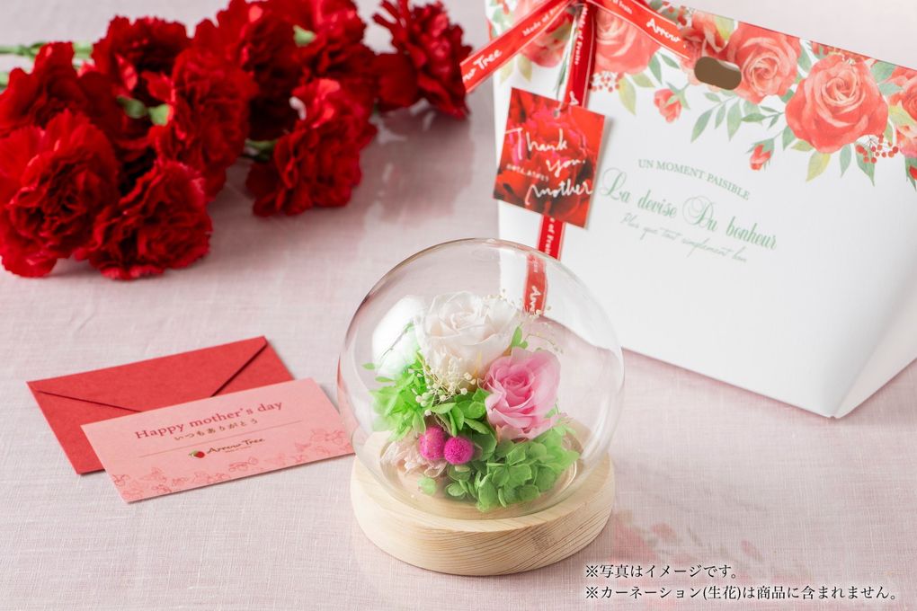 Mother's Day プリザーブドフラワーB＆ベルローズ12個入セット  1