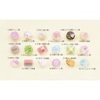 HIYORIKA 羊羹1本+上生菓子6個 4