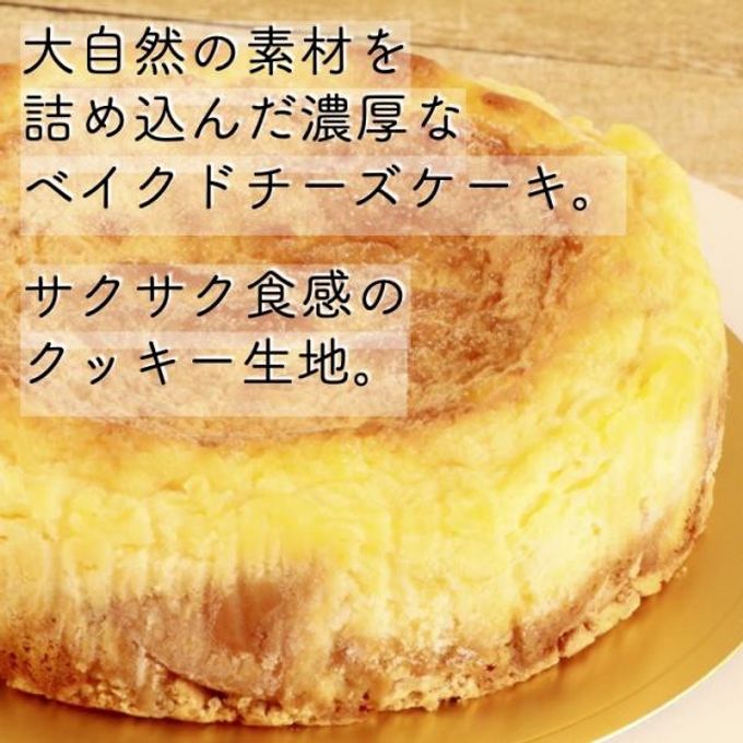 チーズケーキ パリ・ドートンヌ直営店『トンヌくんのNYちーずケーキ』  4