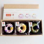 3種類のお花のケーキを詰め合わせました。 2
