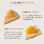 8種を楽しむ贅沢フルーツアソートスイーツ 18cm 即日出荷 お届け指定可 早割 お取り寄せ  誕生日ケーキ   お中元2026 8