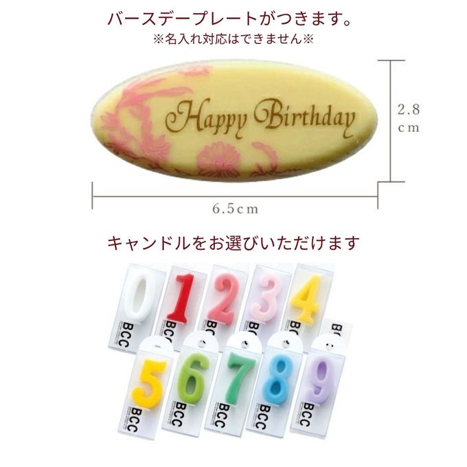 誕生日プレート付 誕生日ラッピング 鬼盛りフルーツ 贅沢ダークチェリータルト 14cm 4〜6名様 即日出荷 お届け指定可  お取り寄せ 誕生日ケーキ タルト 母の日2026 7