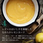 爽やかレモンタルト 12cm  3〜4名様 即日出荷 お届け指定可  お取り寄せ 誕生日ケーキ タルト  お中元2026 7