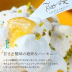 爽やかレモンタルト 12cm  3〜4名様 即日出荷 お届け指定可  お取り寄せ 誕生日ケーキ タルト  お中元2026 4