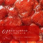 【クリスマスケーキ 2024 お歳暮 御歳暮 早割 お取り寄せ 送料無料  誕生日ケーキ メディア掲載店】あまおう＆ゆめのかストロベリーチーズプリン 6個セット クリスマス2024 お歳暮2024 5