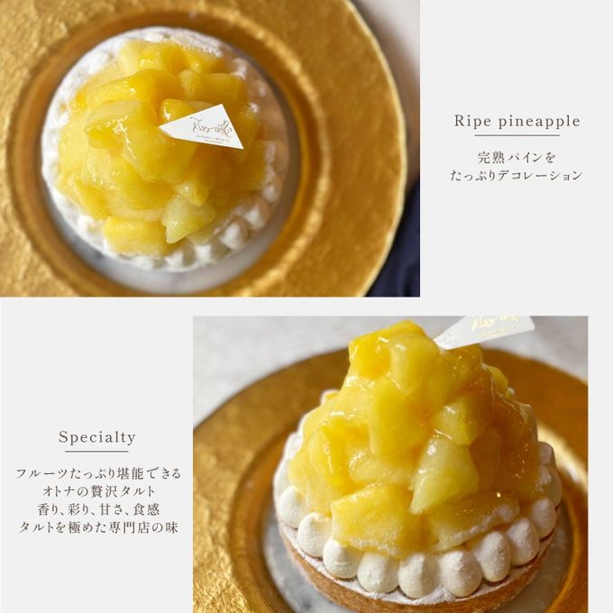 【お中元 御中元 早割 お取り寄せ 送料無料 誕生日ケーキ メディア掲載店】完熟パインチーズタルト 14cm お中元2025 3