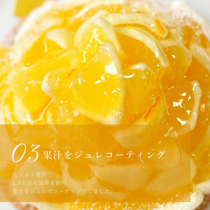 【父の日 早割 誕生日ケーキ 送料無料 メディア掲載店】初夏限定 夏香チーズタルト サマーオレンジ タルト 14cm 父の日2025 お中元2025 6