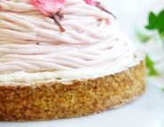 大人の和スイーツ さくらちーずたると 14cm 4〜6名様即日出荷 お届け指定可 早割 お取り寄せ  誕生日ケーキ 母の日2026  4