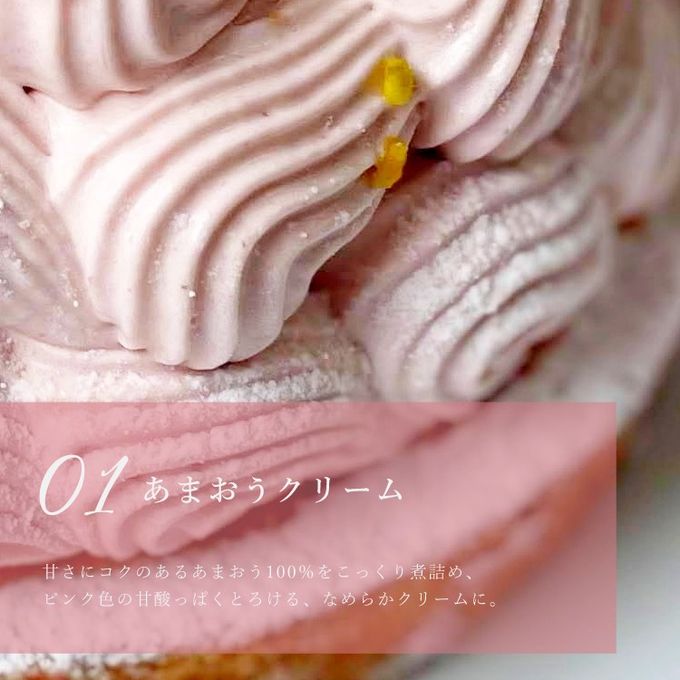 フルーツたっぷり あまおうとゆめのかモンブランタルト 14cm 4〜6名様 即日出荷 指定日可 敬老の日 ハロウィン 冬ギフト お歳暮  おしゃれ  誕生日ケーキ タルト フルーツタルト ハロウィン2026 敬老の日2026 5