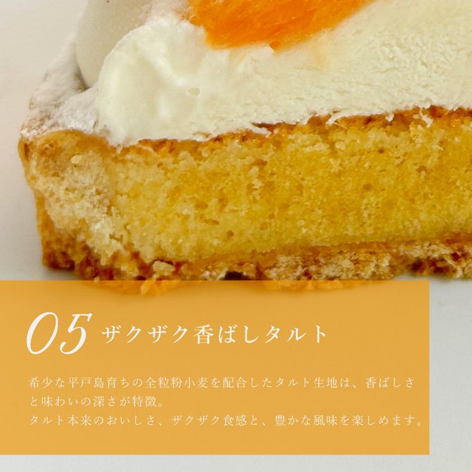 【クリスマスケーキ 2024 お歳暮 早割 誕生日ケーキ 送料無料 メディア掲載店】オレンジ＆ピンクグレープフルーツチーズタルト 14cm クリスマス2024 お歳暮2024 8