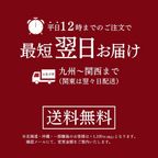 【父の日 早割 お取り寄せ 送料無料 誕生日ケーキ メディア掲載店】サマーオレンジオランジェット 5粒3箱セット 父の日2025 お中元2025 3