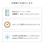 どうぶつシュー3種6個セット（シャンティ・いちご・チョコ）保存料 着色料 無添加 スイーツ お取り寄せ  ハロウィン お歳暮 冬ギフト 送料無料 即日出荷 指定日可  冬ギフト お歳暮  おしゃれ  シュークリーム アソート ハロウィン2026 クリスマス2026 10