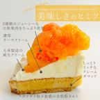 【クリスマスケーキ 2024 お歳暮 早割 誕生日ケーキ 送料無料 メディア掲載店】オレンジ＆ピンクグレープフルーツチーズタルト 14cm クリスマス2024 お歳暮2024 9