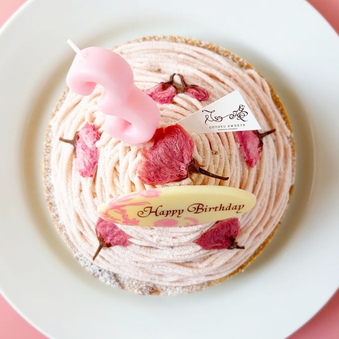 誕生日プレート付 誕生日ラッピング  クリームたっぷり さくらちーずたると 14cm 4〜6名様 即日出荷 お届け指定可  お取り寄せ  誕生日ケーキ 母の日2026 3