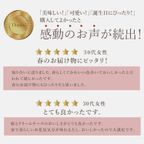 誕生日プレート付 誕生日ラッピング  クリームたっぷり さくらちーずたると 14cm 4〜6名様 即日出荷 お届け指定可  お取り寄せ  誕生日ケーキ 母の日2026 9