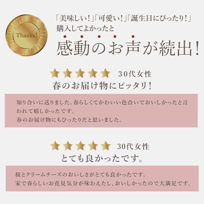 誕生日プレート付 誕生日ラッピング  クリームたっぷり さくらちーずたると 14cm 4〜6名様 即日出荷 お届け指定可  お取り寄せ  誕生日ケーキ 母の日2026 9