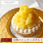 【バレンタイン 早割 お取り寄せ 送料無料 誕生日ケーキ メディア掲載店】完熟パインチーズタルト 3〜4名様 12cm バレンタイン2026 誕生日ケーキ  1