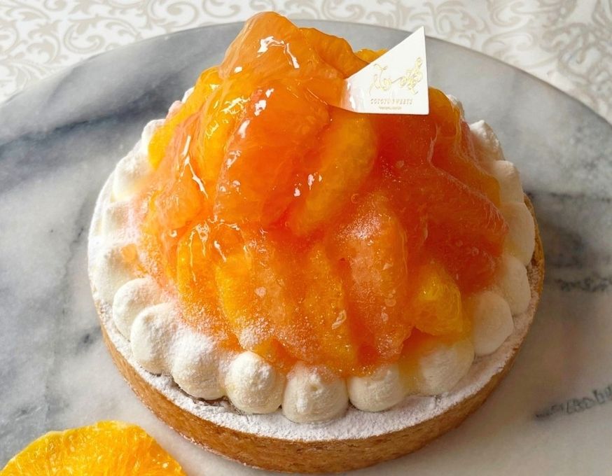 どっさりオレンジ＆ピンクグレープフルーツチーズタルト 8〜10名様 18cm 即日出荷 お届け指定可  お取り寄せ 誕生日ケーキ タルト ホワイトデー 2026 1