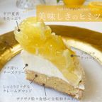 【父の日 早割 誕生日ケーキ 送料無料 メディア掲載店】初夏限定 夏香チーズタルト サマーオレンジ タルト 14cm 父の日2025 お中元2025 9